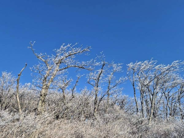 Céréales complètes : le guide essentiel pour votre bien-être